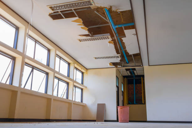 Best 24-hour water damage restoration  in Shelter Island Heights, NY