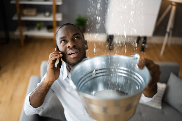 Best Flood damage cleanup  in Shelter Island Heights, NY