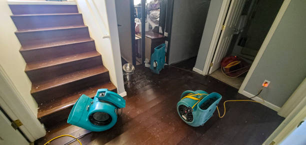 Best Carpet water damage restoration  in Shelter Island Heights, NY