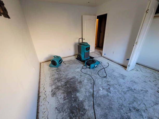 Best Water damage contractors near me  in Shelter Island Heights, NY
